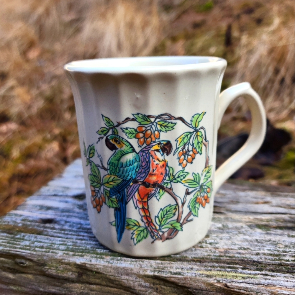 Sunnycraft parrot mug